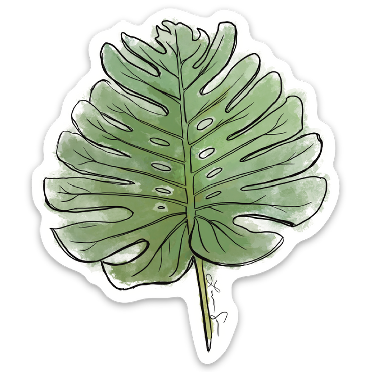 Monstera Leaf Sticker