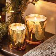 Frasier Fir Gilded 13 oz Poured Candle